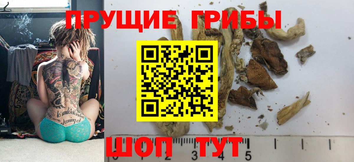 Псилоцибиновые грибы Cubensis  что такое наркотик  Лесосибирск  Вход с VPN 