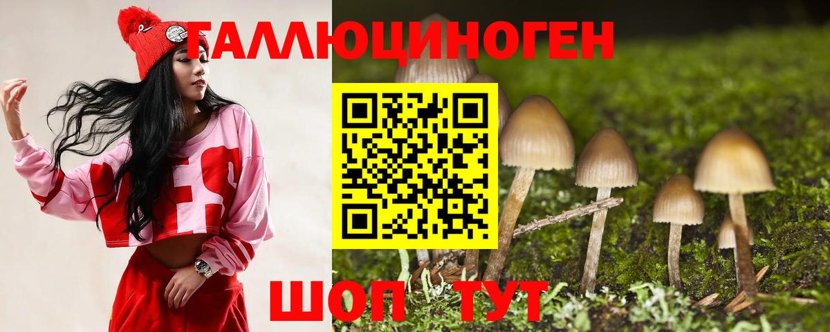 Галлюциногенные грибы Psilocybine cubensis Лесосибирск