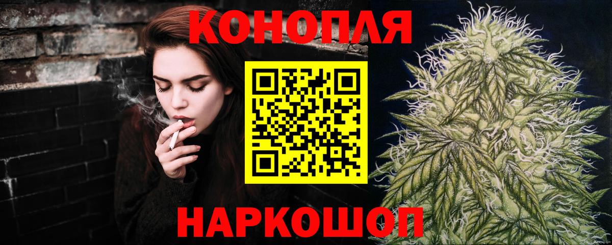 Конопля гибрид Лесосибирск